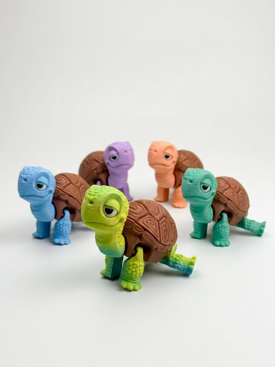 Tania Tortoise