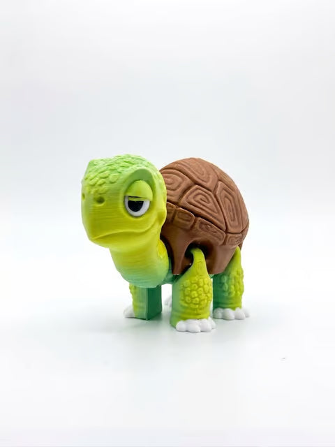Tania Tortoise