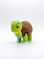 Tania Tortoise