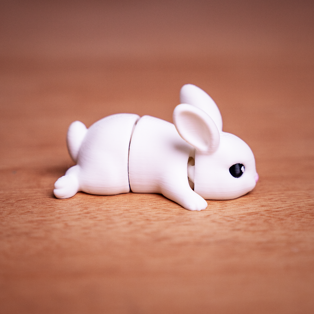 Benny Bunny