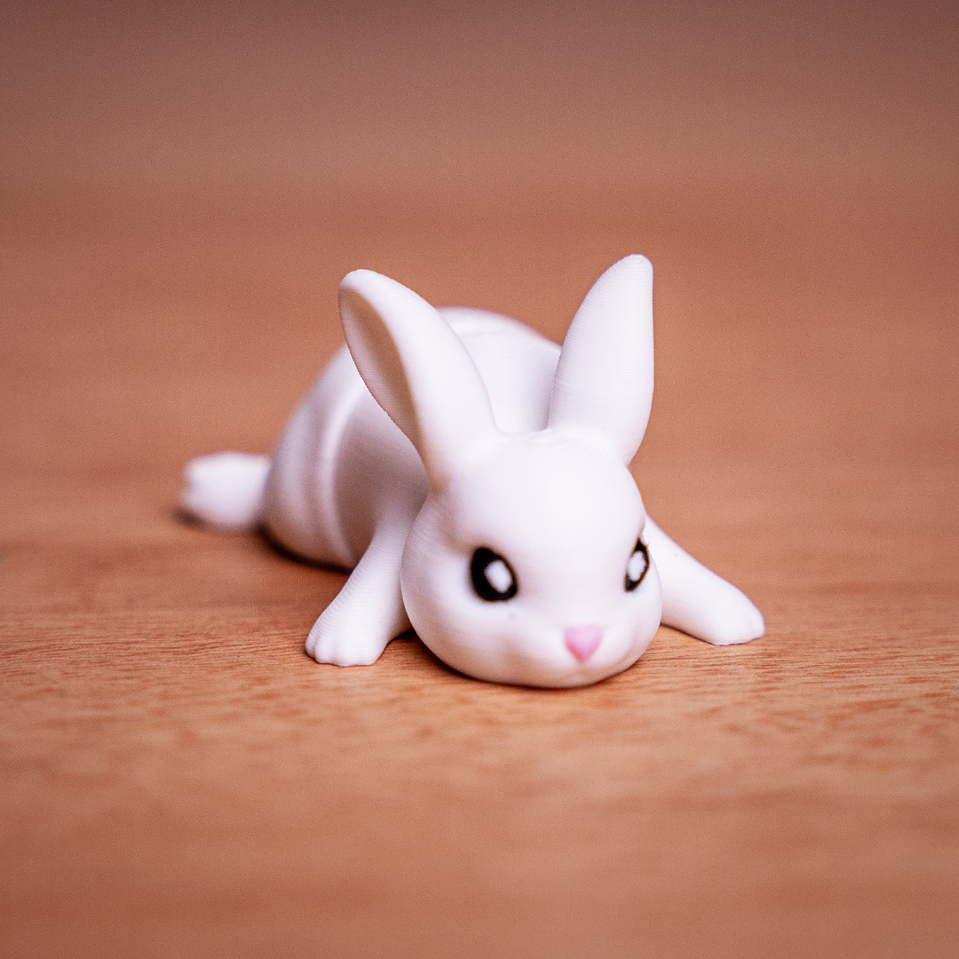 Benny Bunny