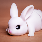Benny Bunny