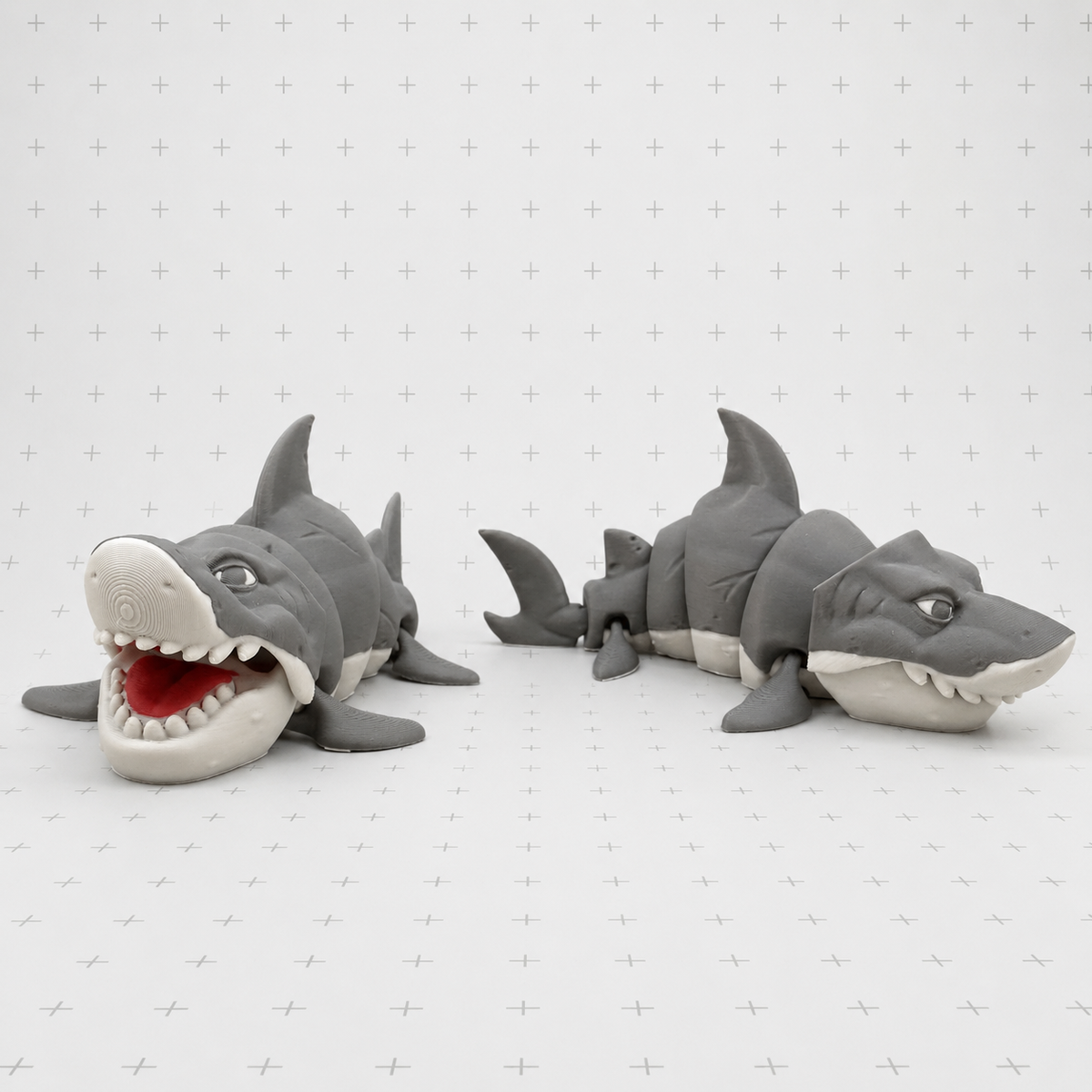 Sammy Shark