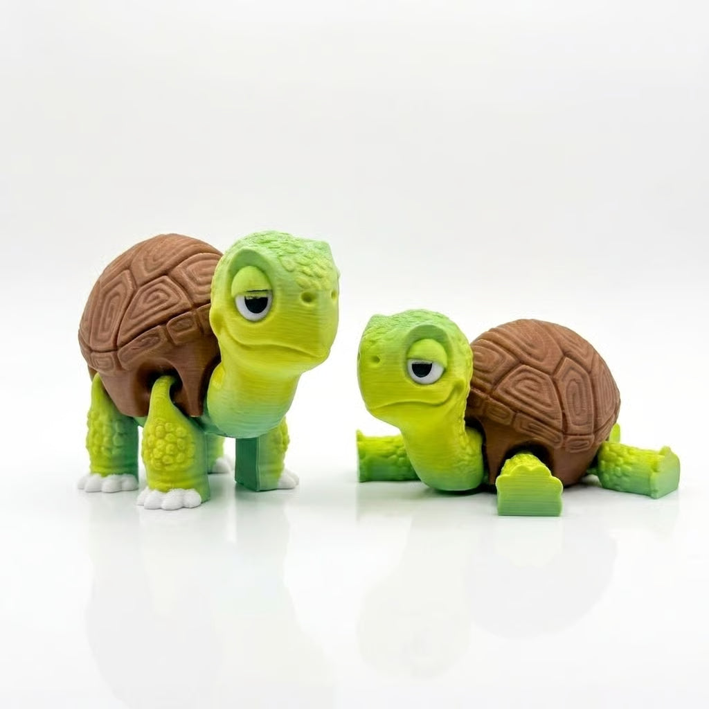 Tania Tortoise