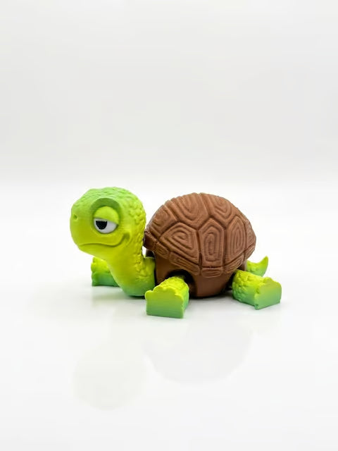Tania Tortoise